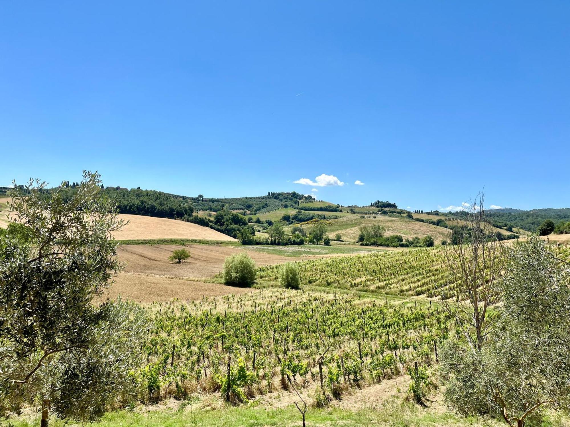 Villa Cetine Vecchie à Torrita di Siena Extérieur photo