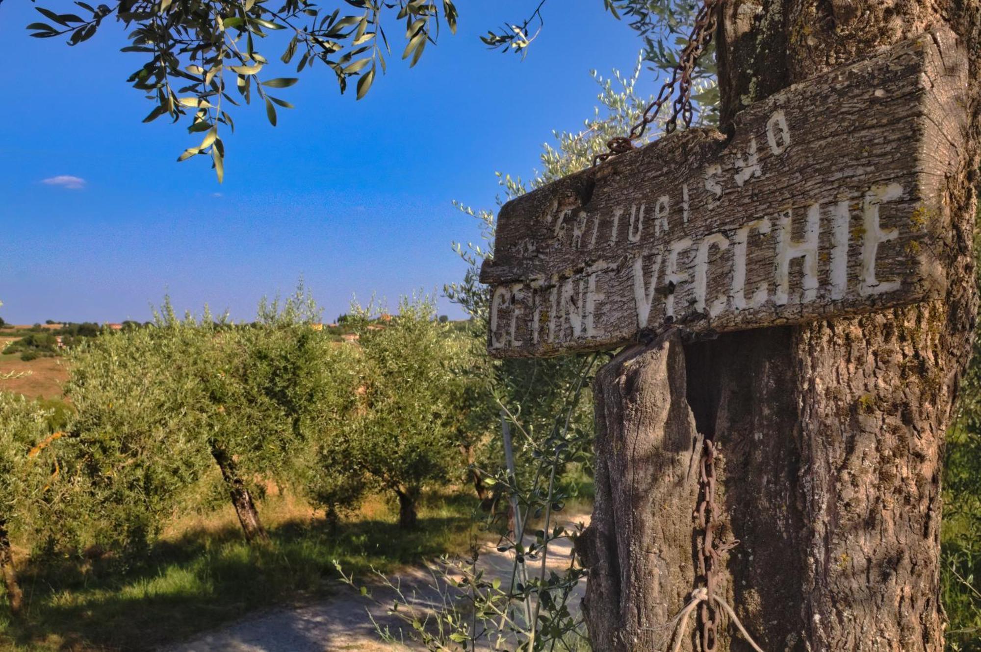 Villa Cetine Vecchie à Torrita di Siena Extérieur photo