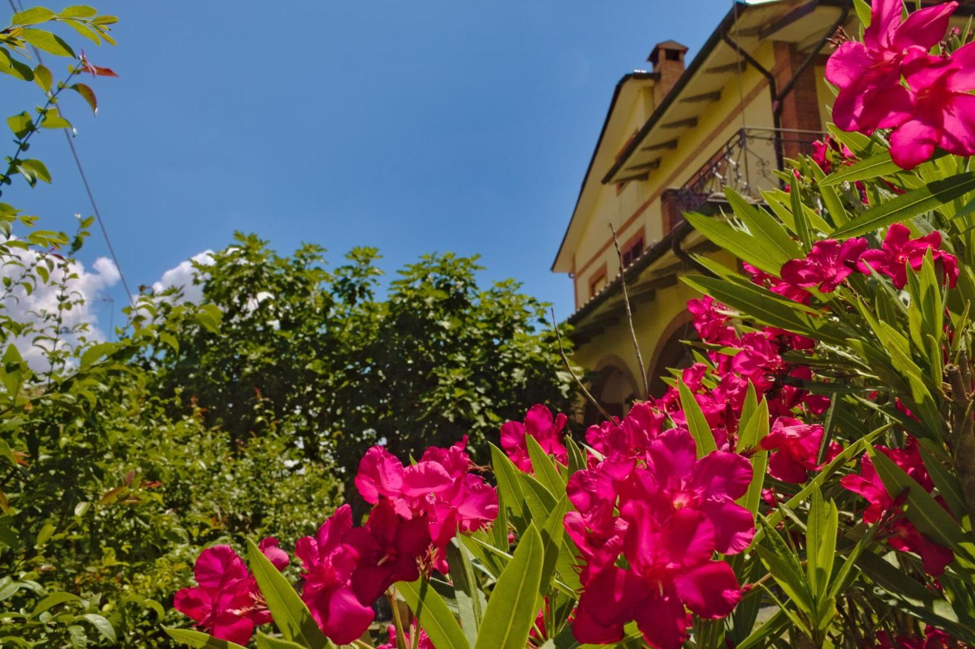 Villa Cetine Vecchie à Torrita di Siena Extérieur photo